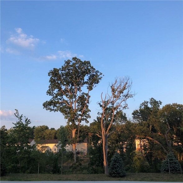 Building Photo - 112 Hamilton Dr