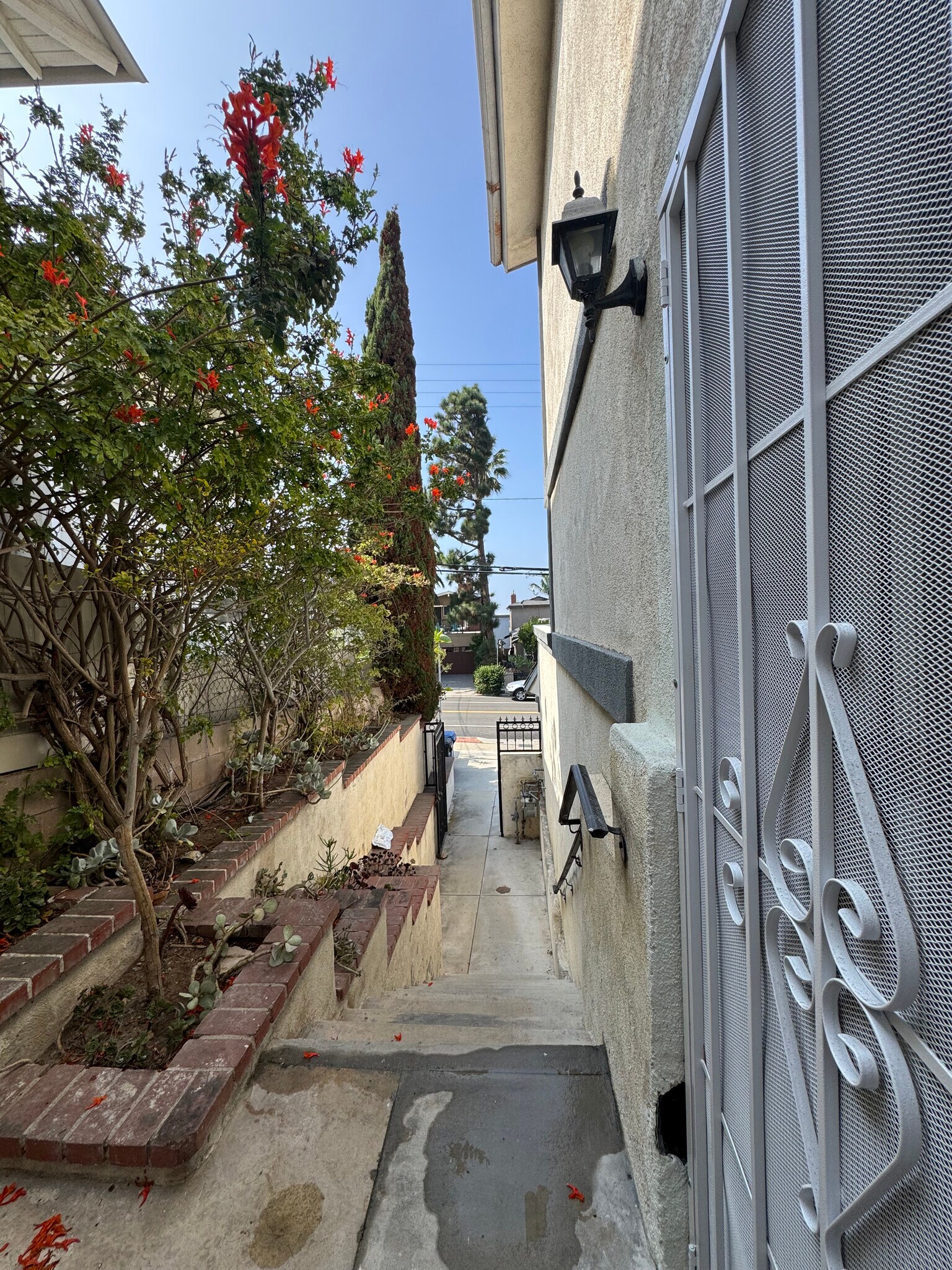 Quite and hypo-allergenic- no pet - 1734 Prospect Ave