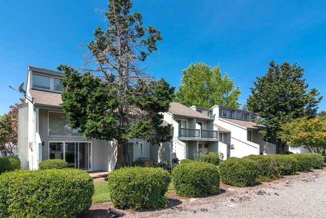 Building Photo - Meadowlawn Apartments