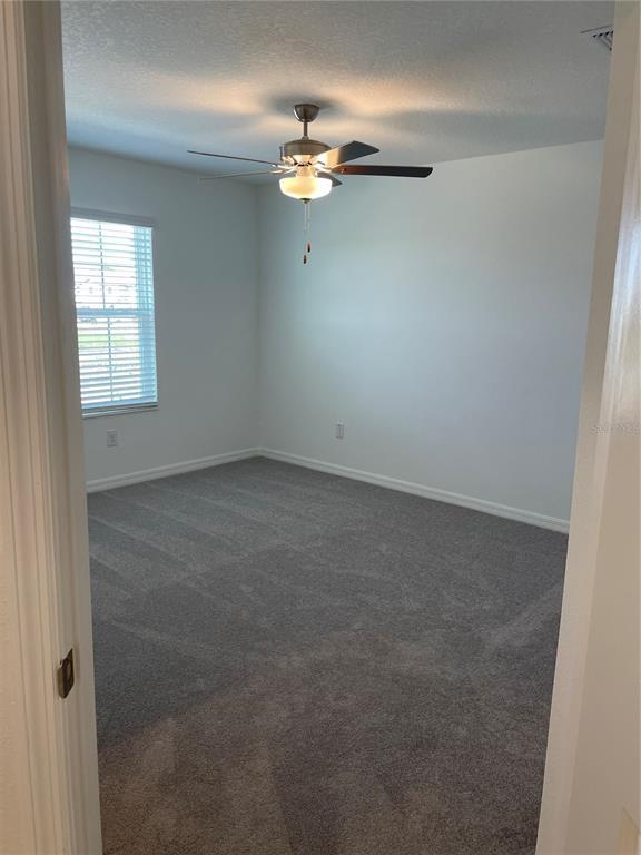 Building Photo - 32077 Powderpuff Mimosa Dr