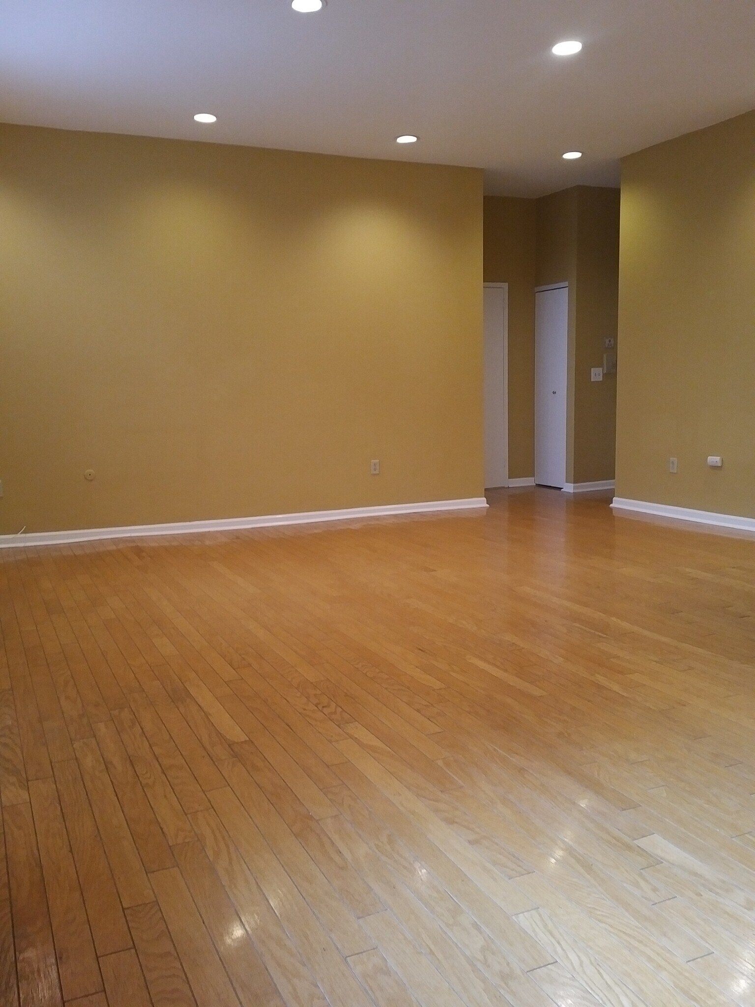 Beautiful New Hardwood Floors - 111 Mulberry St