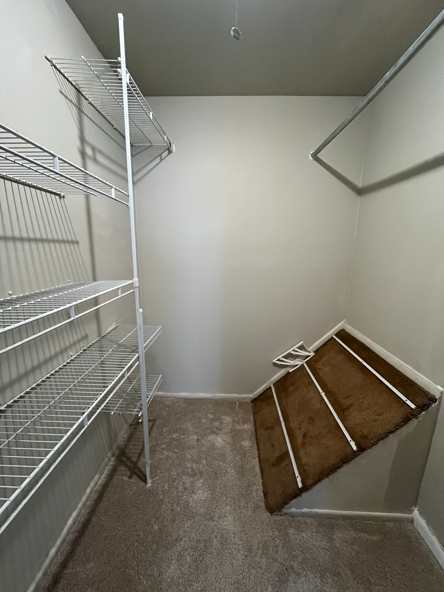 Building Photo - 180 Betty Ct