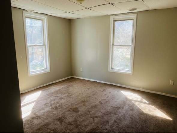 Building Photo - 908 Cleveland Ave