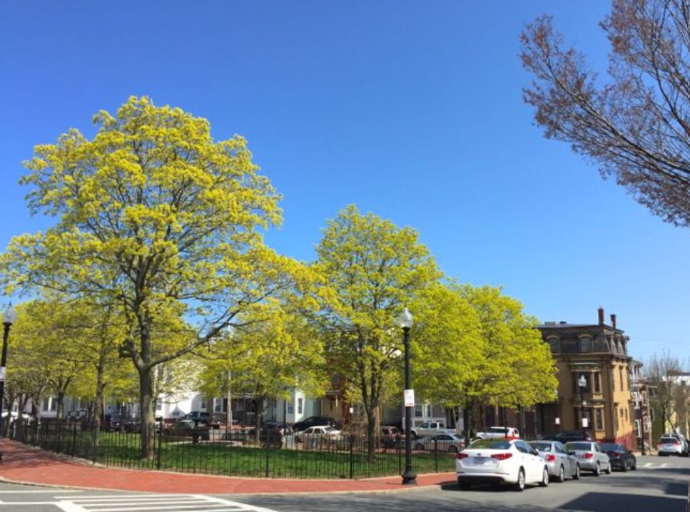 Building Photo - 75 Putnam St