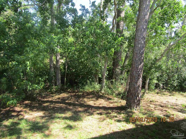 Building Photo - 1077 Antigua Cir