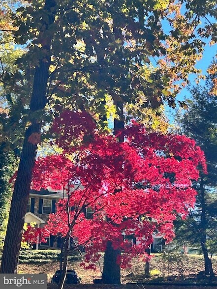 Building Photo - 1705 Mountainview Dr