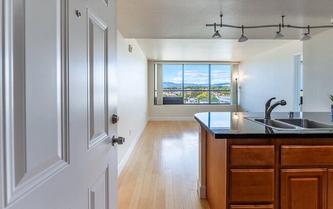 Building Photo - 2 bed / 2 bath condo at Belvedere Towers -...