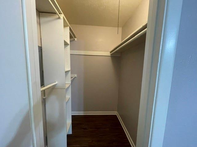 Building Photo - 2232 Shady Brook Dr