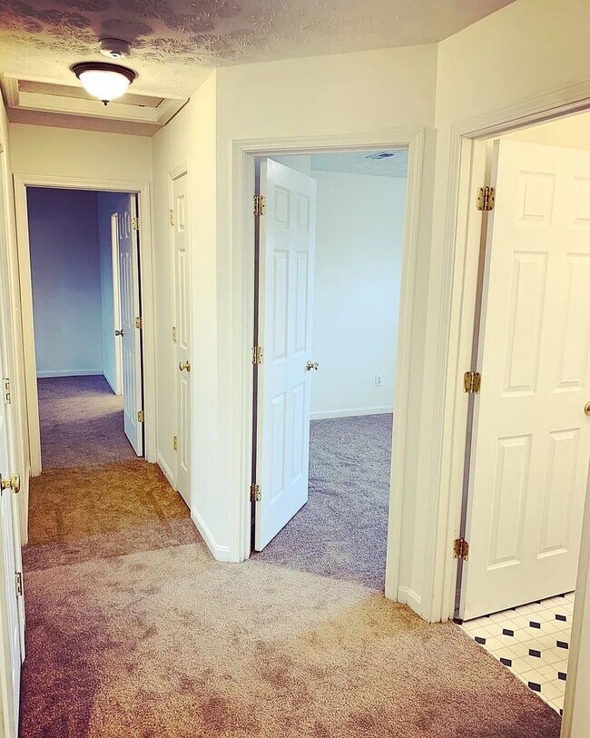 Building Photo - 8504 Bucking Trail Ct