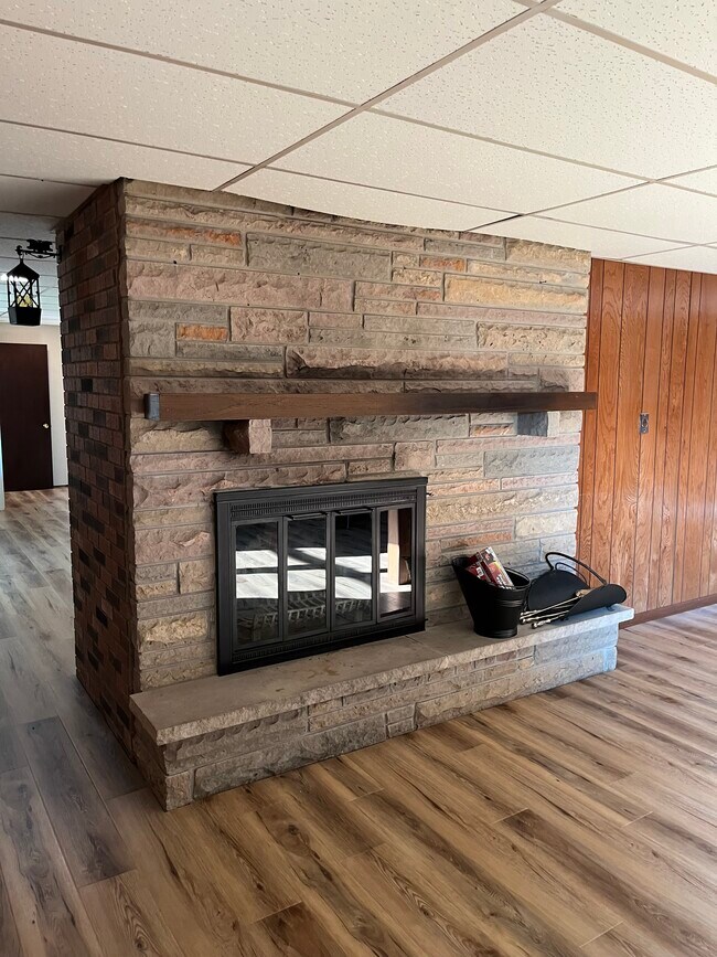 Basement wood fireplace in back entertainment space - 2790 S Ridge Rd