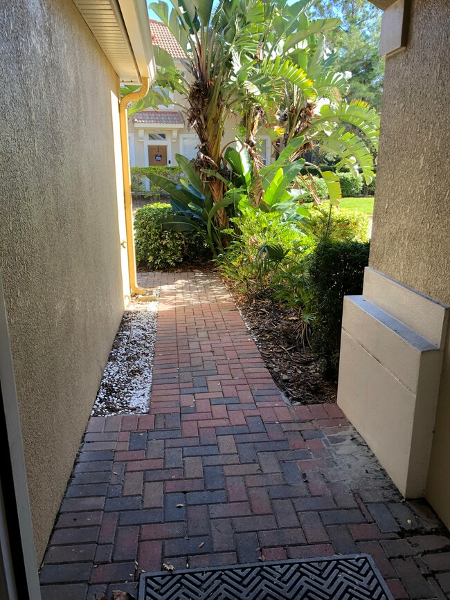 Front Door Walk Way - 3602 Shallot Dr