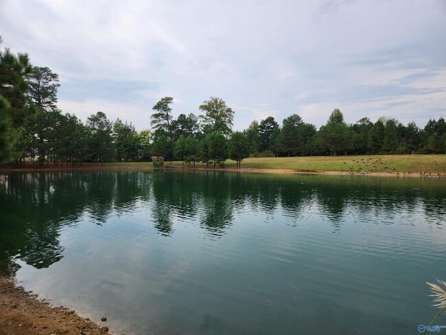 Building Photo - 25751 Caldera Dr