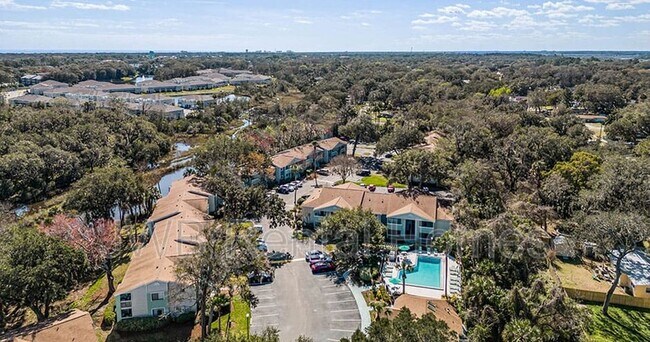 Building Photo - 2768 Jimmy Buffett Mem Hwy