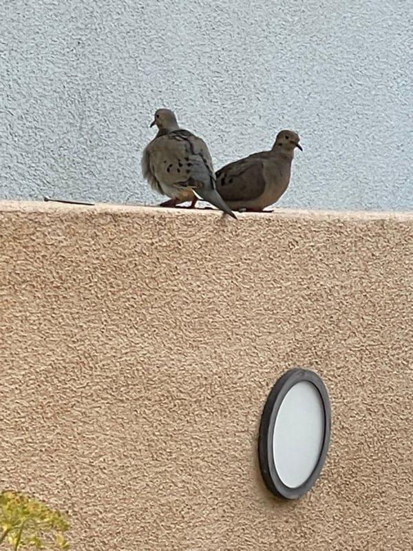 Building Photo - 1949 Parnell Ave