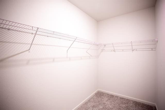 Building Photo - 8023 Big Timber Trail