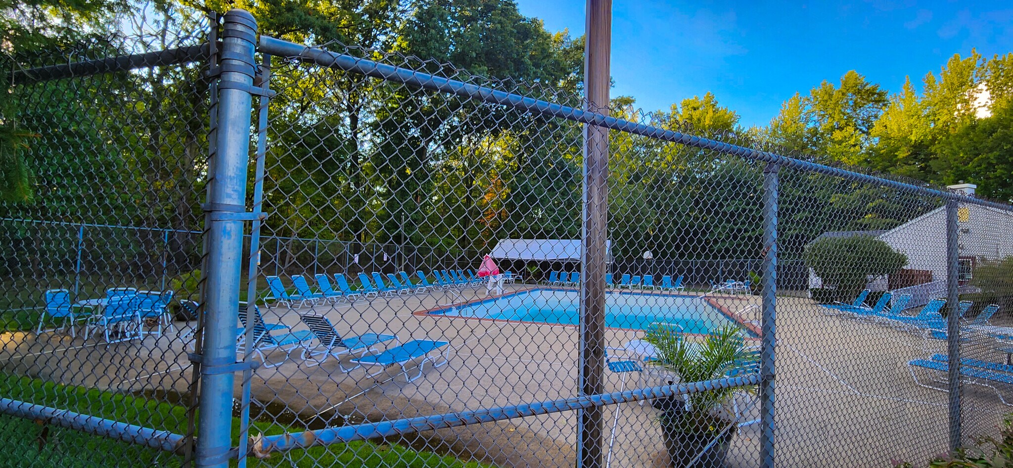 Community Swimming pool - 1103 Roseberry Ct