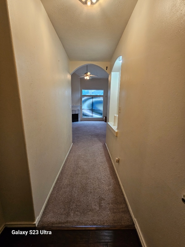 Building Photo - 12315 Wright Oaks Dr