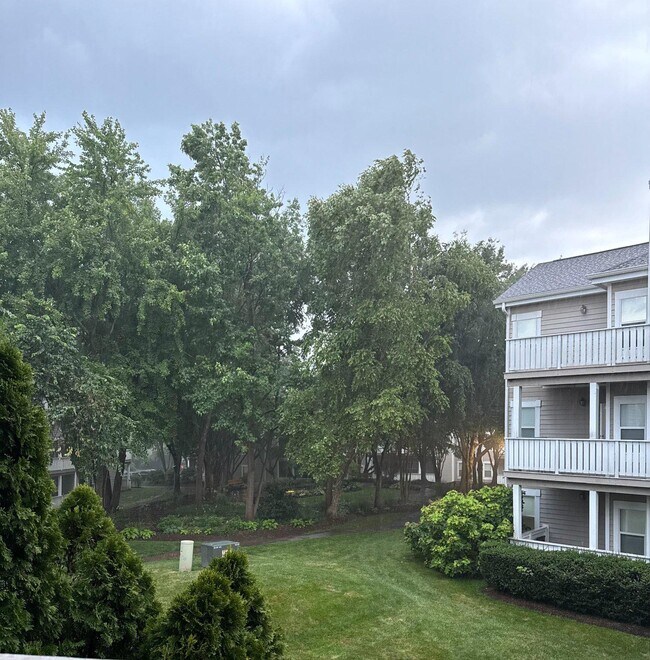 Building Photo - 14301 Grape Holly Grove