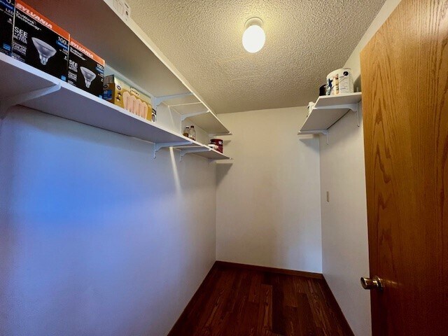 Building Photo - 1028 Park Hill Ct