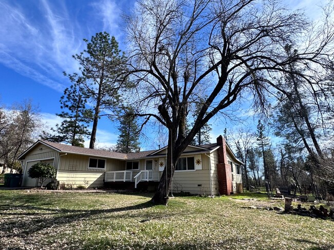 Primary Photo - Country house