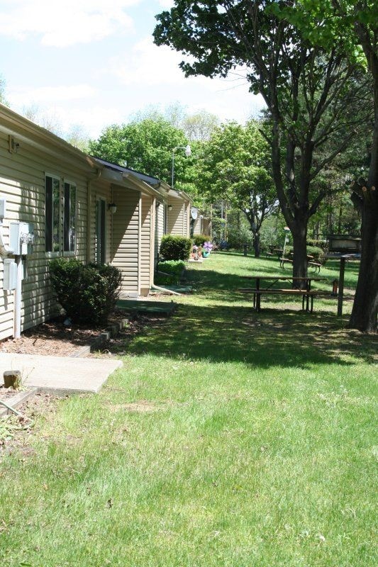 Huge back yard visited by wildlife - Pine Manor