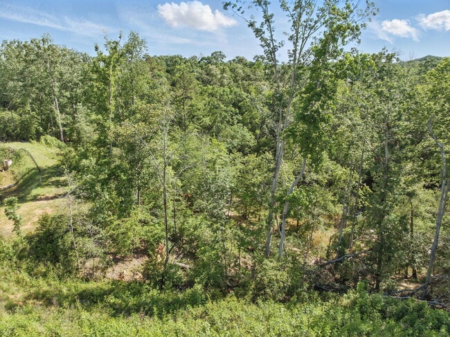 Building Photo - Luxury 5-Bed, 4-Bath Greenville Home in Amenity-Packed Riverstone!