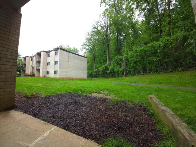 Building Photo - 12209 Braxfield Ct