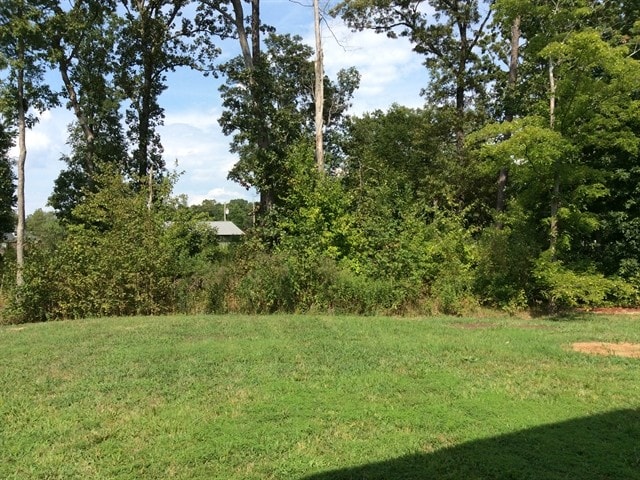 Building Photo - 211 Lindpoint Ln