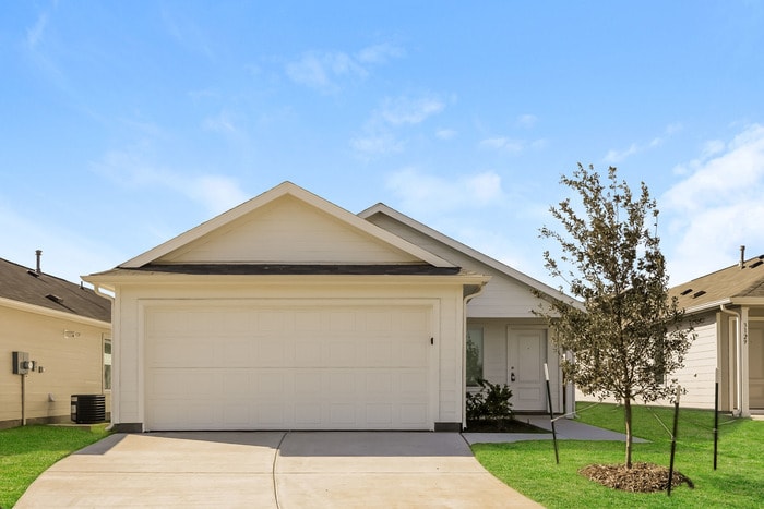 Primary Photo - 3125 Burmese St