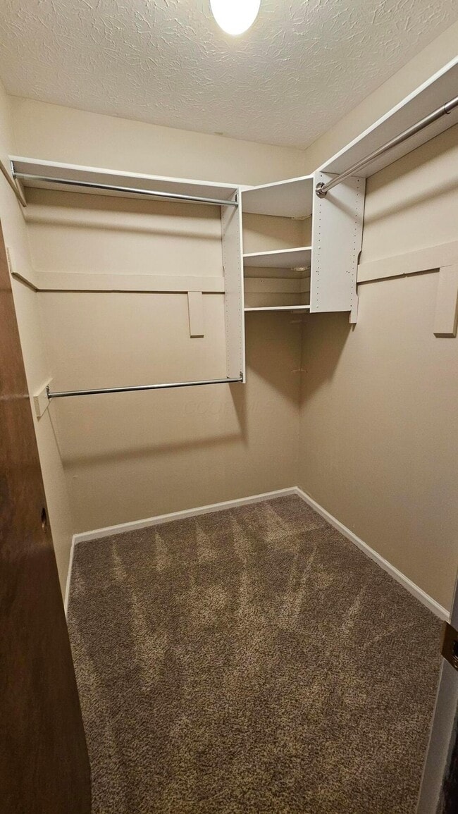 Building Photo - 5305 Berrywood Dr