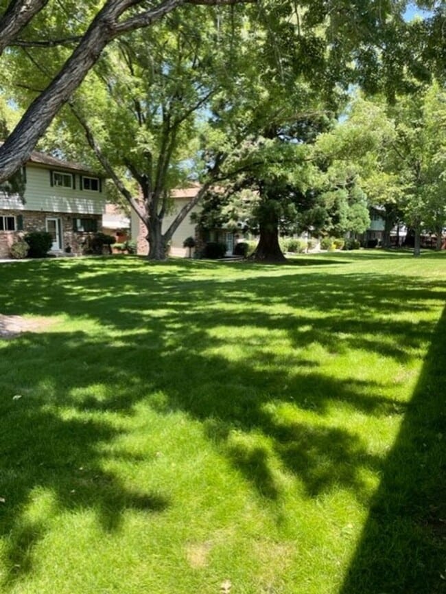 Building Photo - Newly Remodeled Two Bedroom with Washer & Dryer