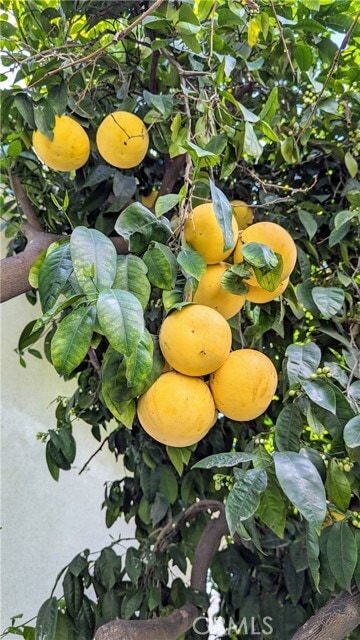 Building Photo - 1826 Front St