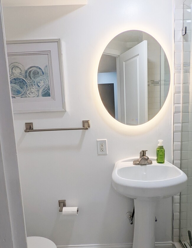 Bathroom + heated & backlit mirror - 634 Rock Creek Church Rd NW