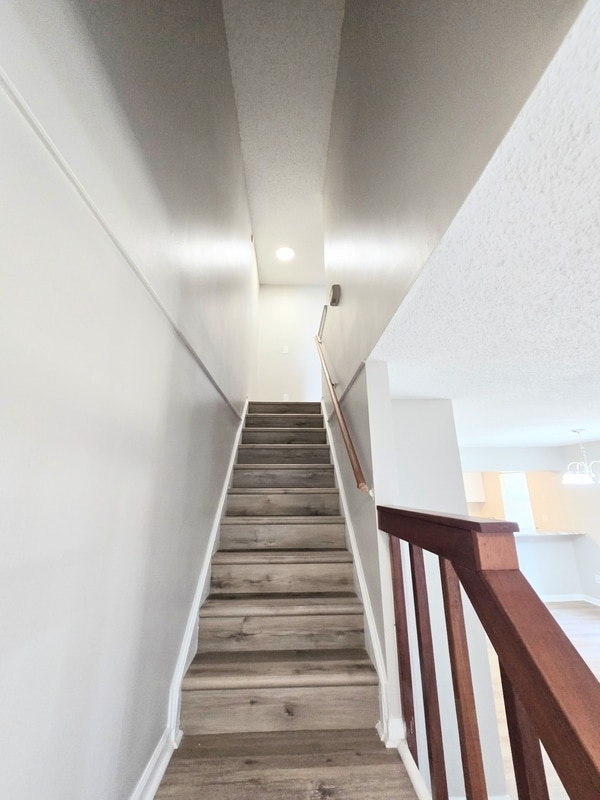 Building Photo - 329 Ferdinand Cir
