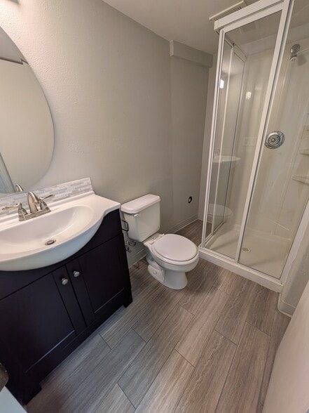 Basement bathroom - 664 Walden Ct