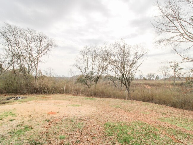 Building Photo - Rental with Country Setting!