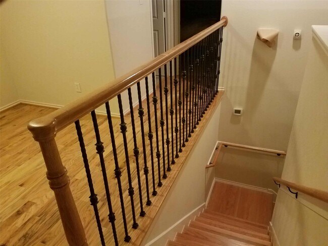 Building Photo - 3205 Victorian Manor Ln