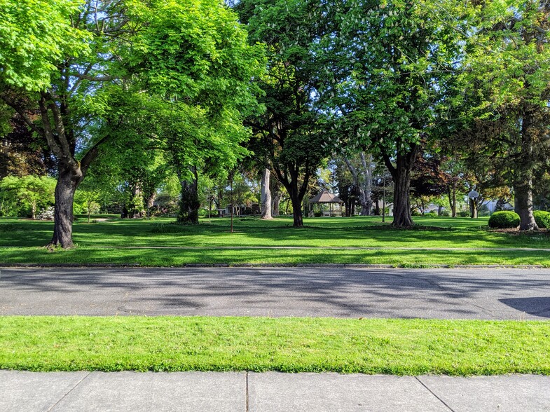 The view from the "outdoor dining room table." - 2123 Park St