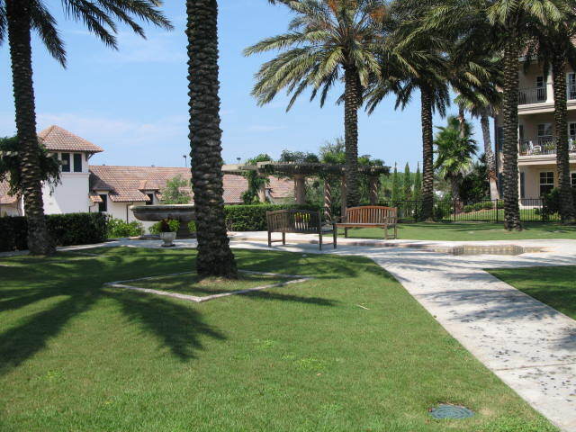 Building Photo - 3BR|3BA Palencia Patio Home