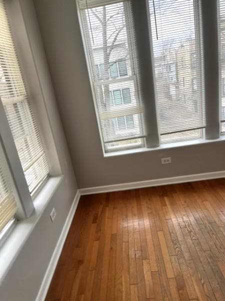 Building Photo - 6037 S Rhodes Ave