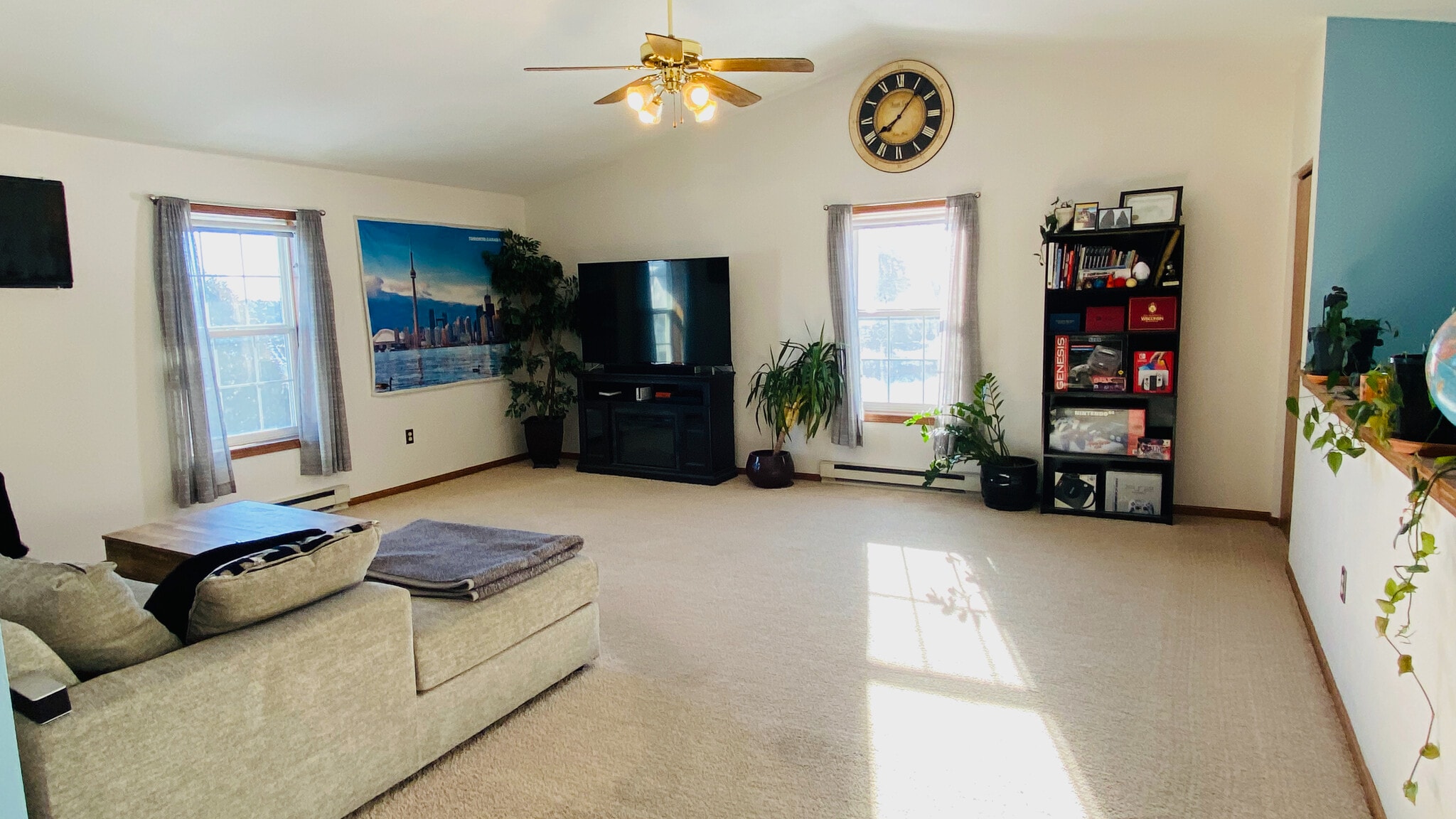 Living room with south facing light. - 384 Minz Park Cir