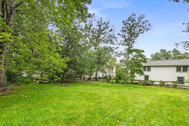 Building Photo - Charming Black Mountain Rental!