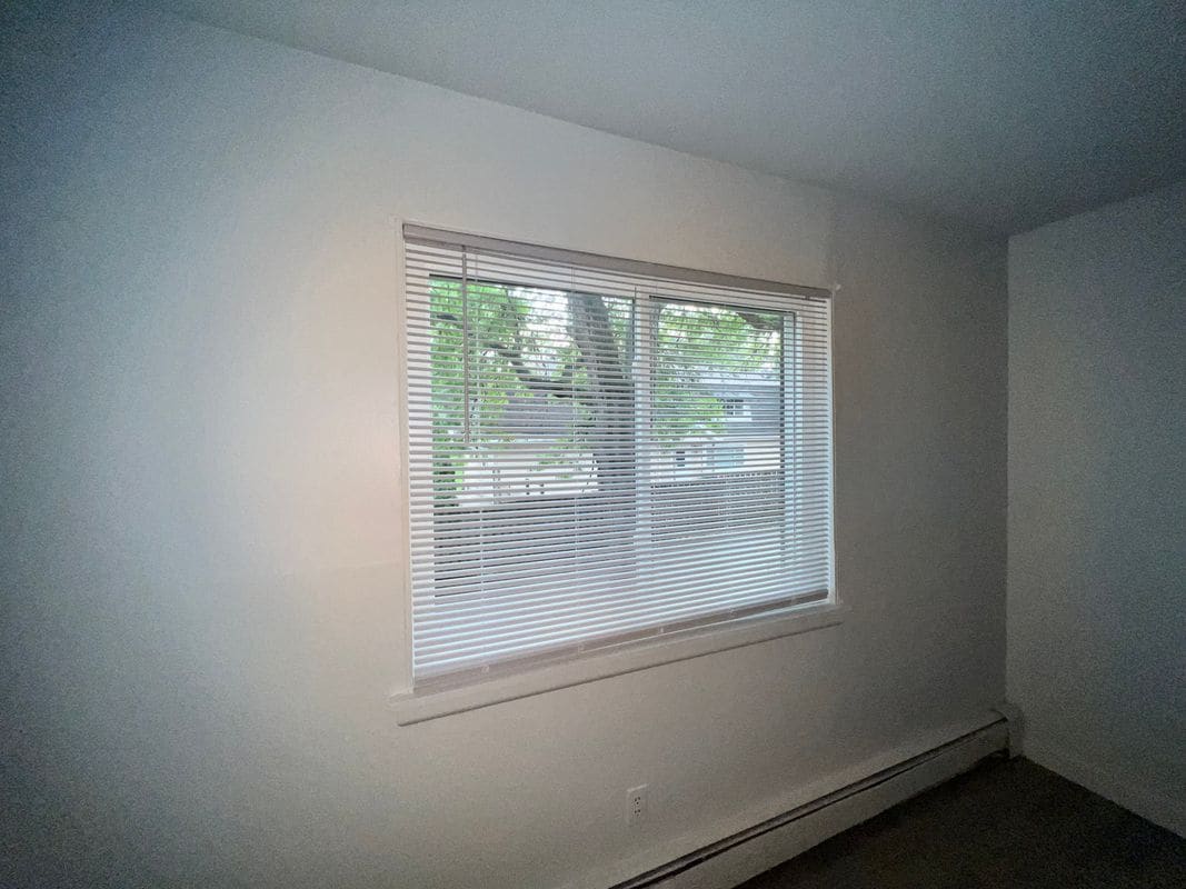 Building Photo - 255 Elmwood Ave