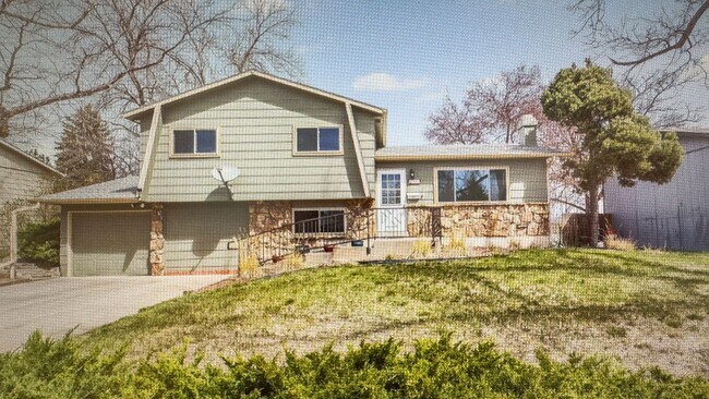 Primary Photo - Great Home in Fort Collins