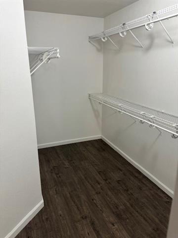 Building Photo - 3024 St Ursula Dr