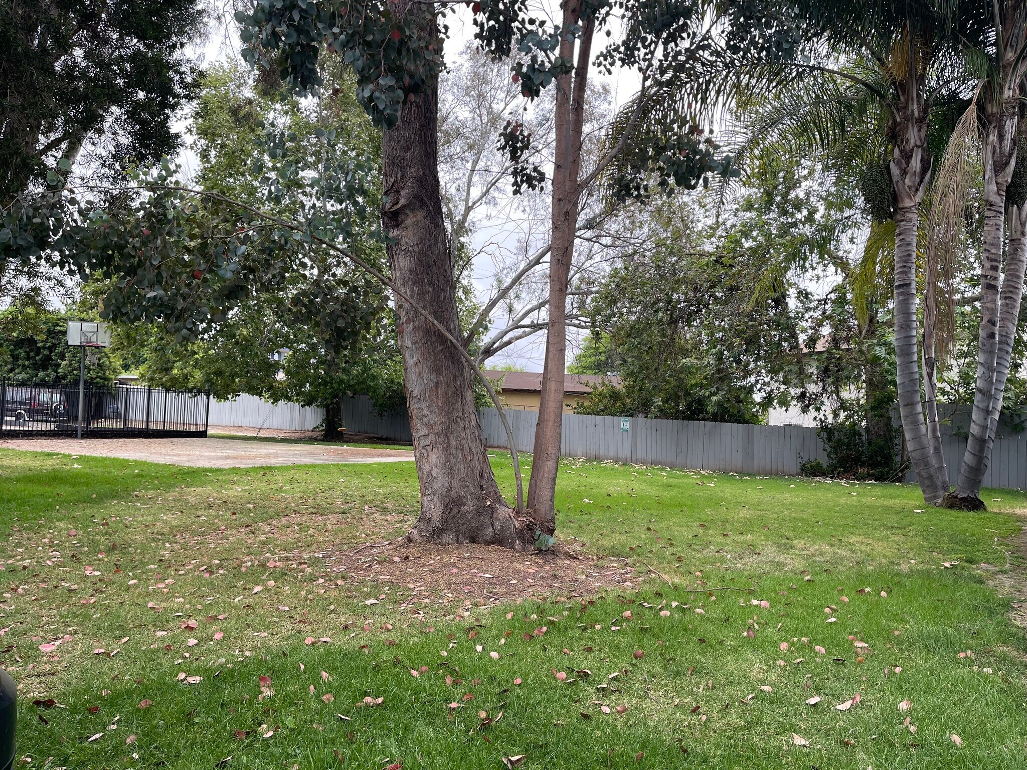 Building Photo - 4429 Tremont St