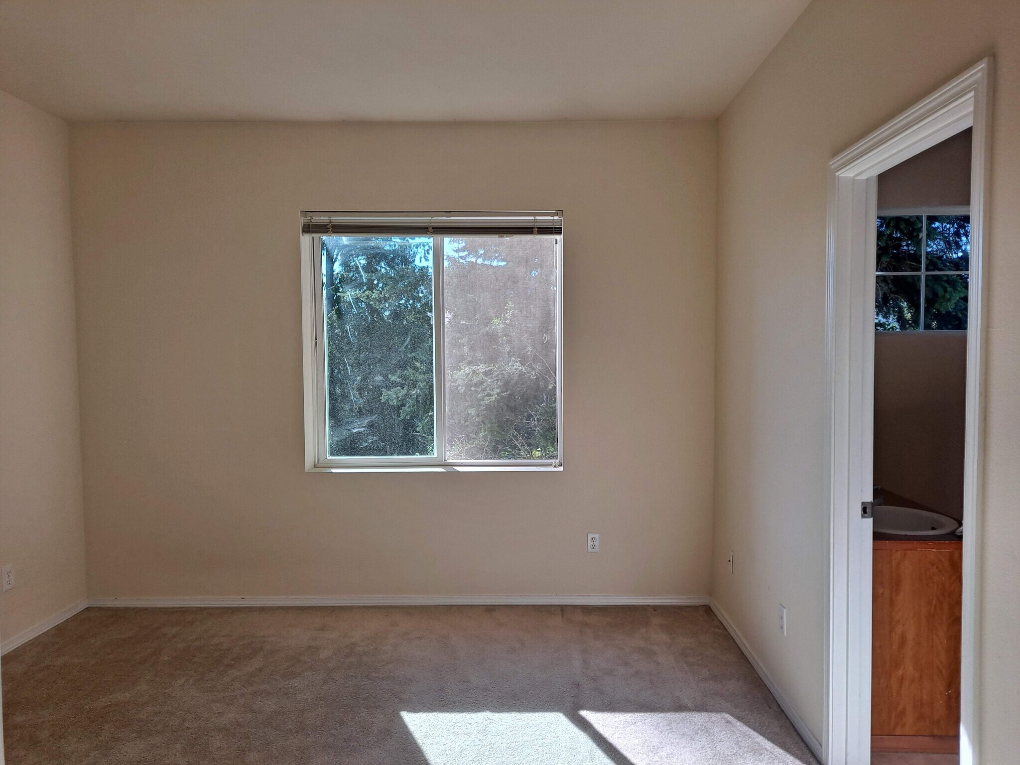 master room - 14915 38th Dr SE
