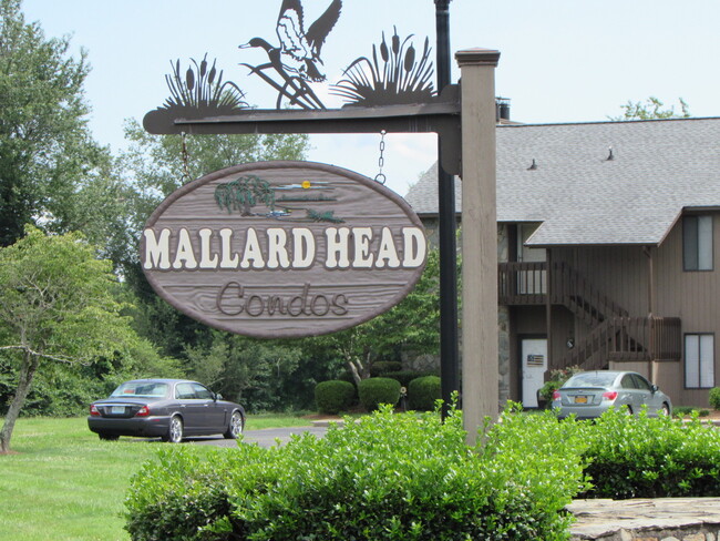 Building Photo - Charming 2 Bed/2 Bath Condo - Mallard Head...