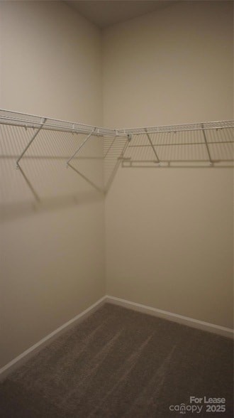 Building Photo - 107 Pampas Pl