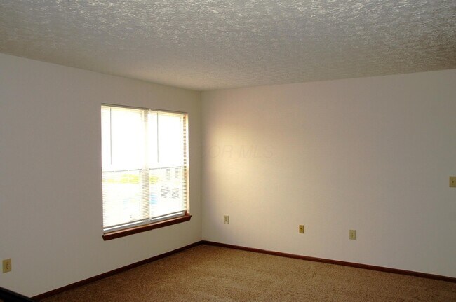 Building Photo - 5561 Cedar Springs